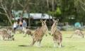 Grampians National Park Day Tour Thumbnail 5