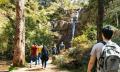 Grampians National Park Day Tour Thumbnail 6