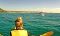 Rainbow Beach Dolphin Kayak &amp; 4WD Beach Drive Adventure Thumbnail 1