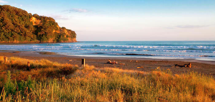 Free Things To Do  Ohope Beach