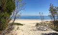 Moreton Island Dolphin Spotting and Snorkelling Cruise departing from Redcliffe Thumbnail 3