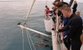 Adelaide Swim with Wild Dolphins Cruise Thumbnail 4