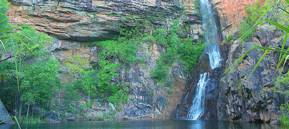Free Things To Do  Tjaynera Falls