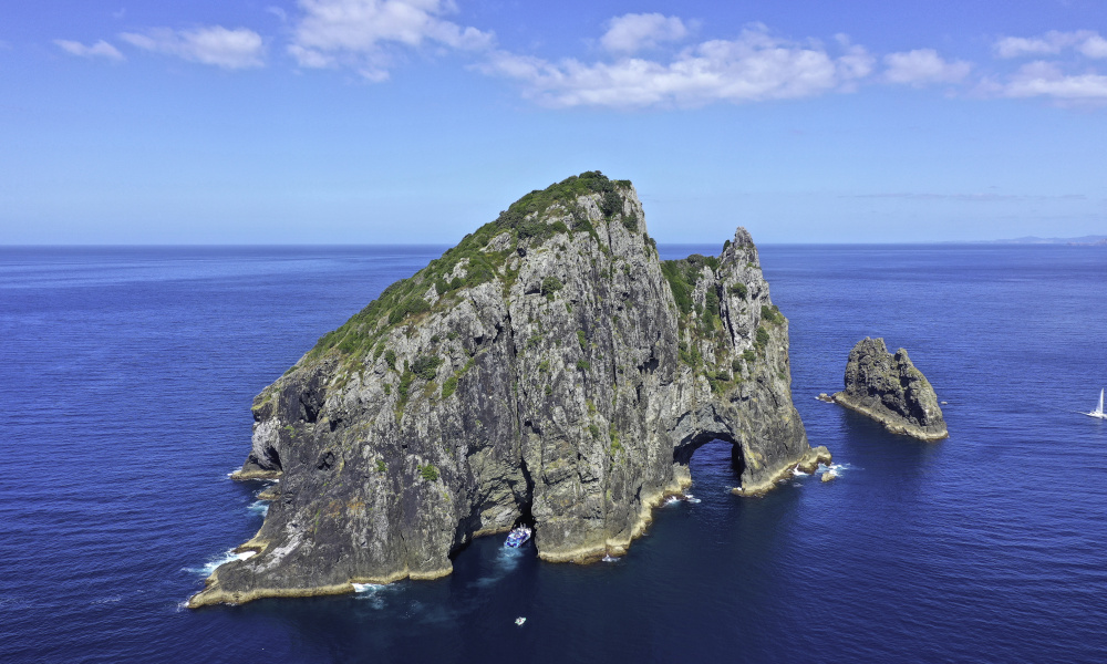 Fullers Bay of Islands Hole in the Rock Dolphin Cruise