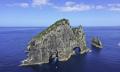 Fullers Bay of Islands Hole in the Rock Dolphin Cruise Thumbnail 1