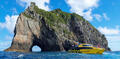 Bay of Islands Hole in the Rock Dolphin Cruise Thumbnail 3