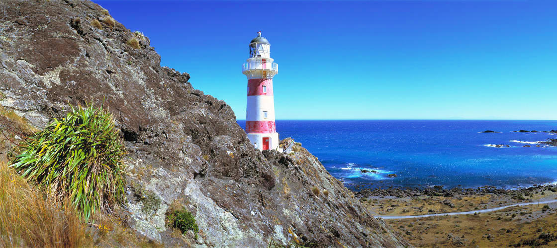 Wellington City Sights and Coastline Tour