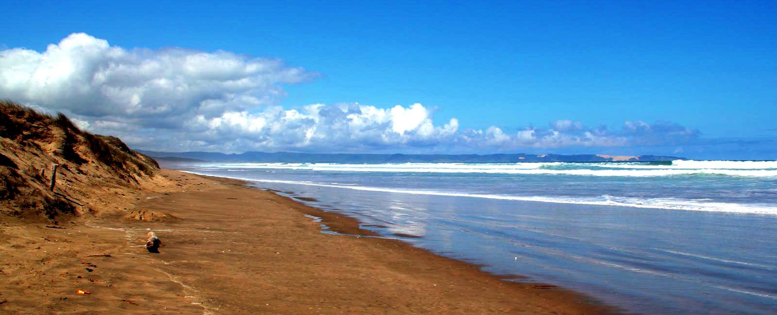 Free Things To Do  Ninety Mile Beach
