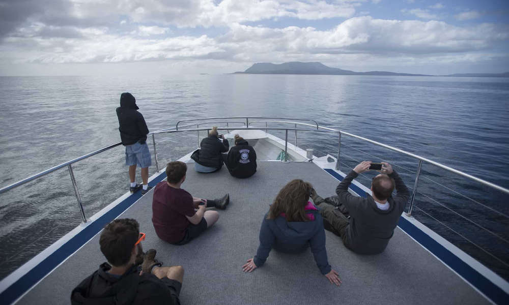 Maria Island Ferry