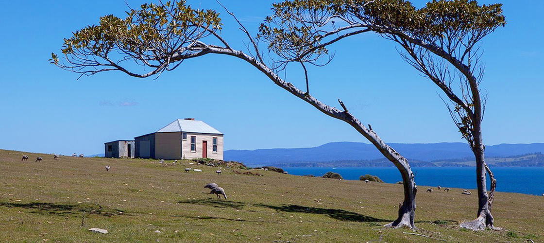 Maria Island National Park 