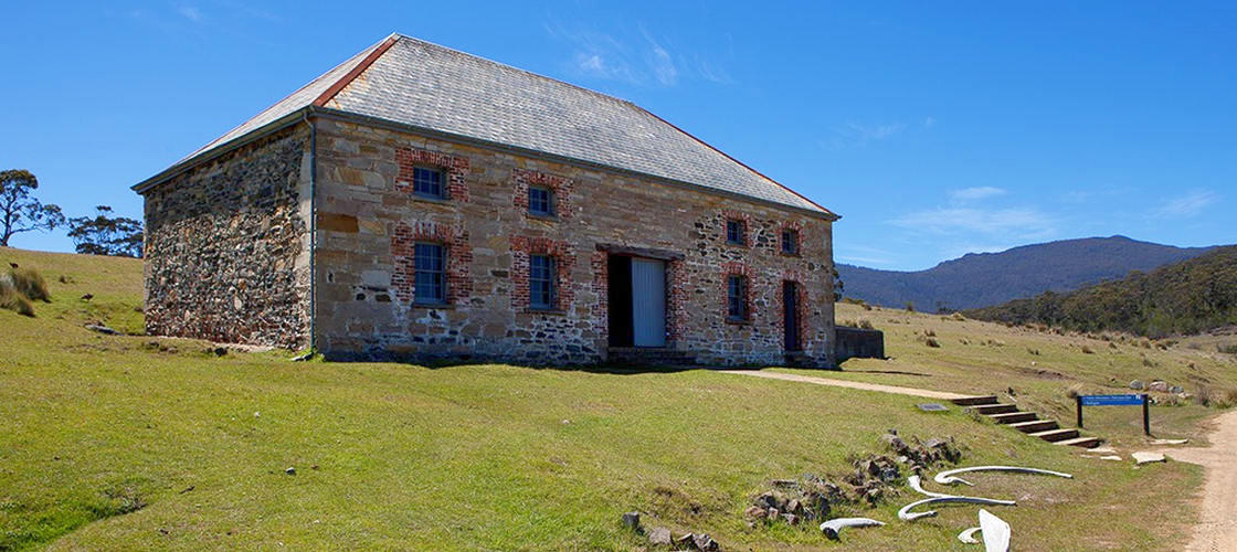 historic buildings on Maria Island