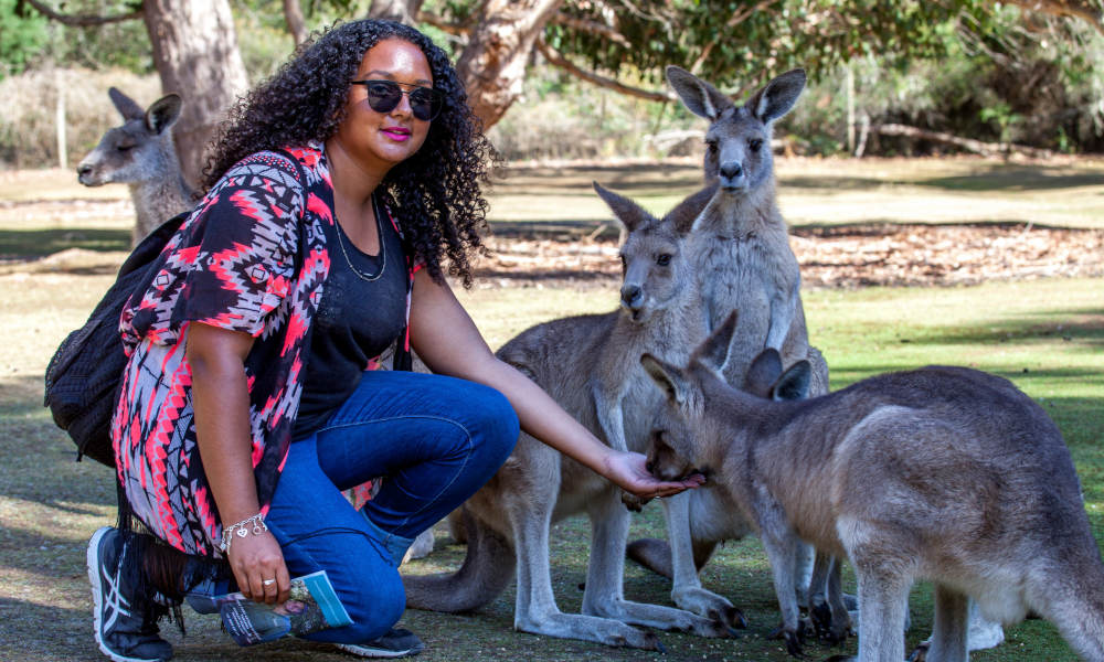 Kanga