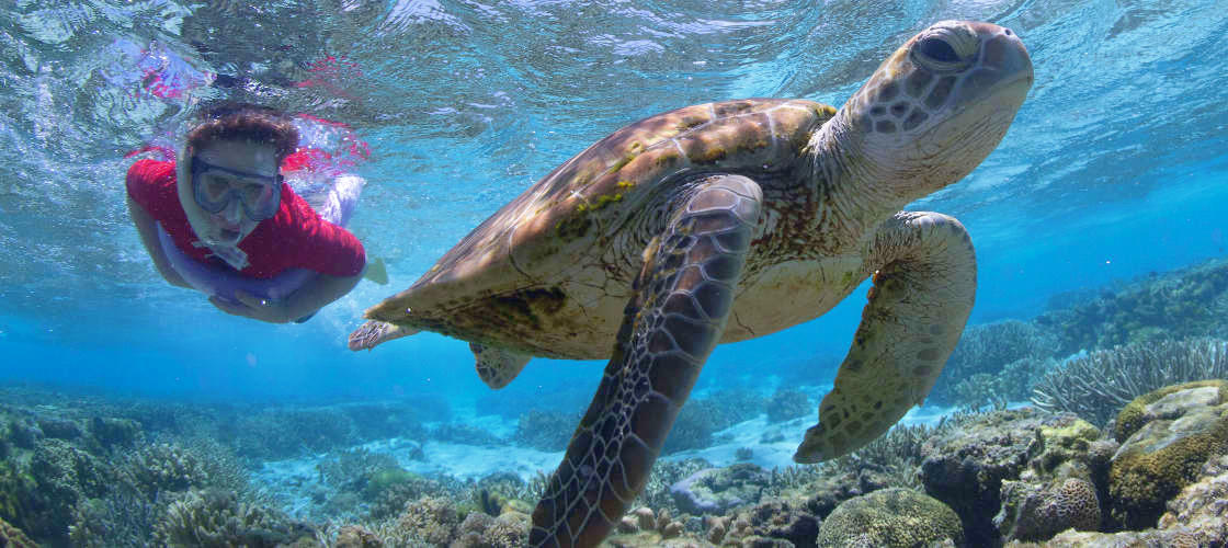 Southern Great Barrier Reef Tours | ClubConnect