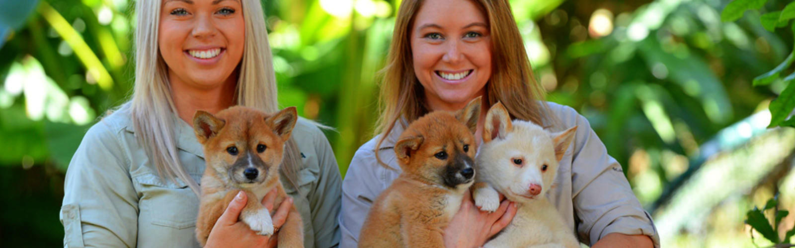 sunshine-coast-attractions-things-to-do-clubconnect